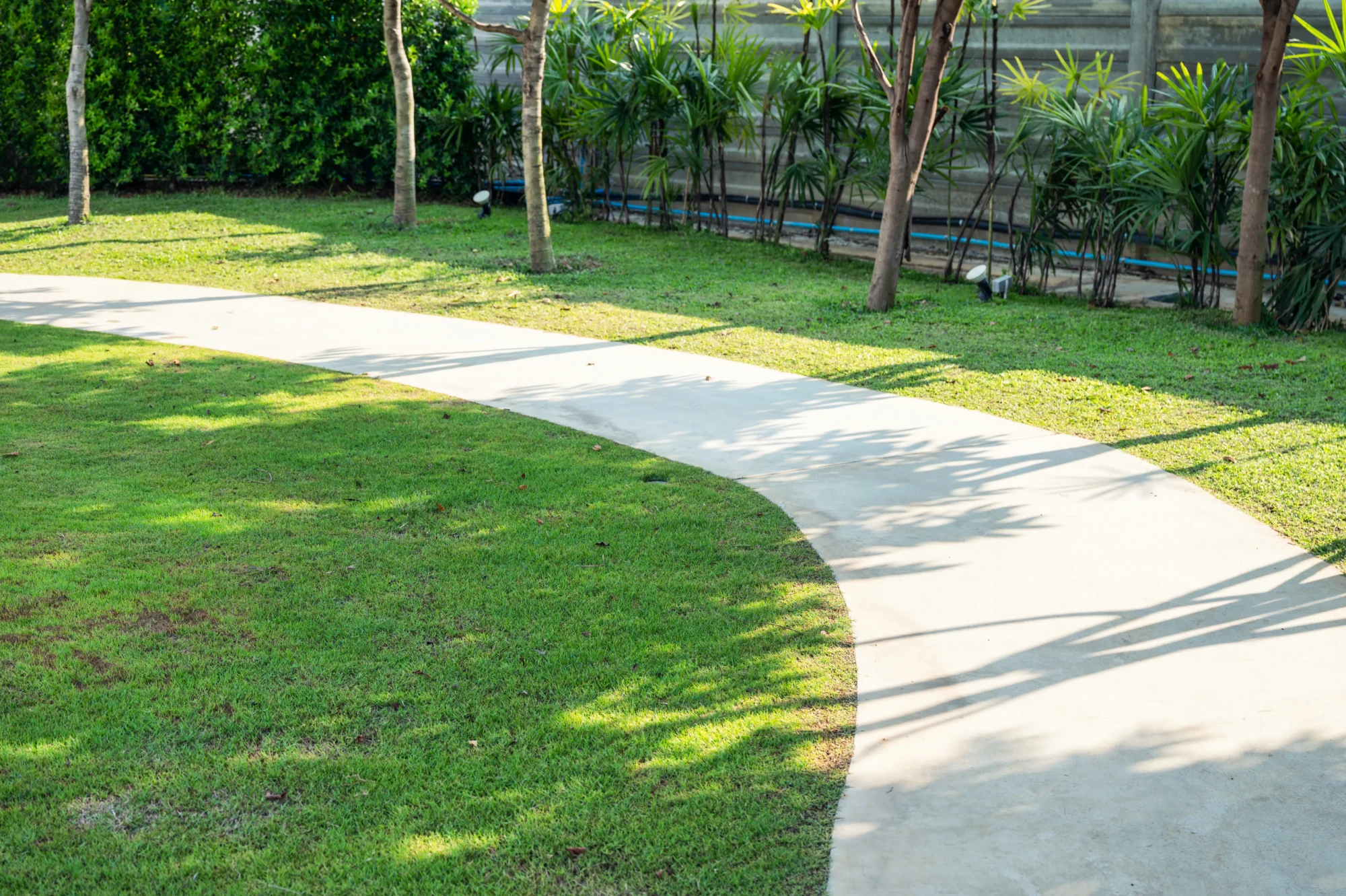 pathway